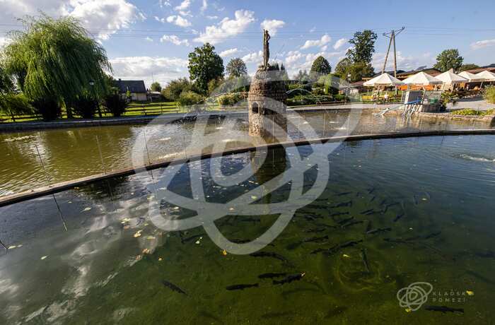 Łowisko pstrąga np. Sudeckie Chaty Kudowa – Czermna