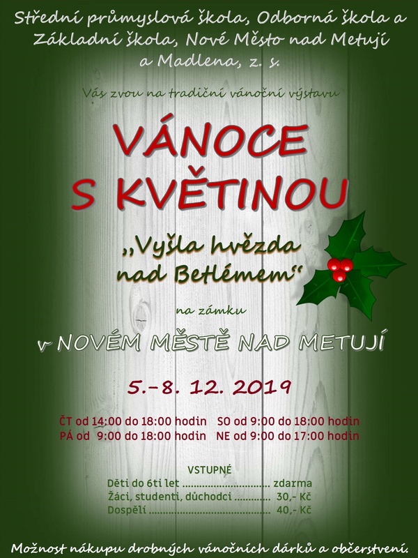 Vánoce s květinou