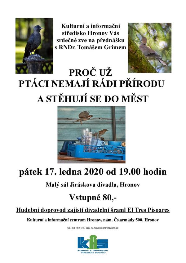Proc uz ptaci nemaji