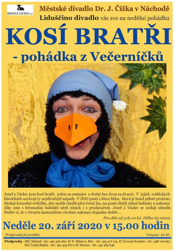 Kosí bratři