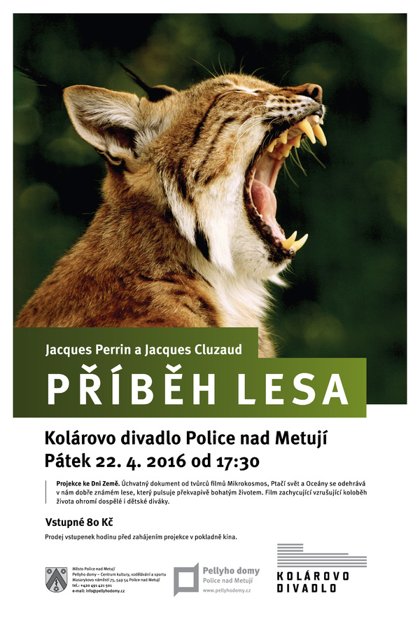 Název položky
