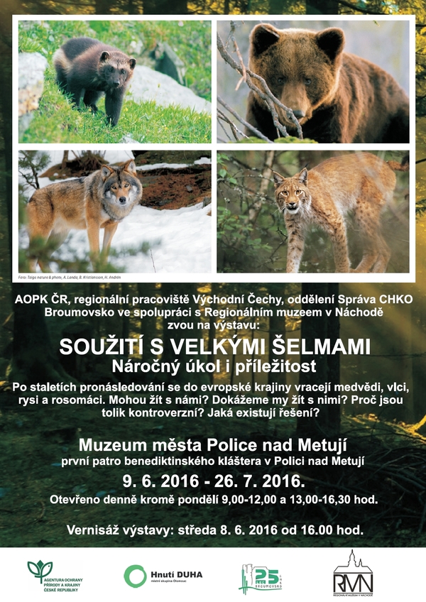 Název položky