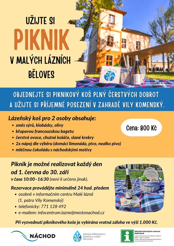 Piknik