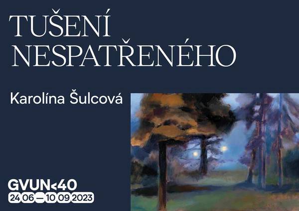 TUŠENÍ NESPATŘENÉHO