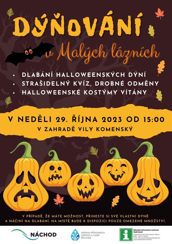 Dýňování
