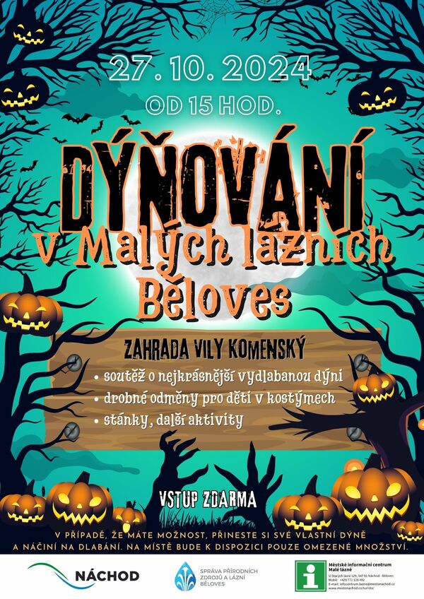 Dýňování