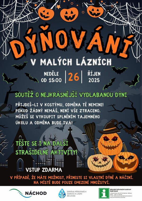 Dýňování