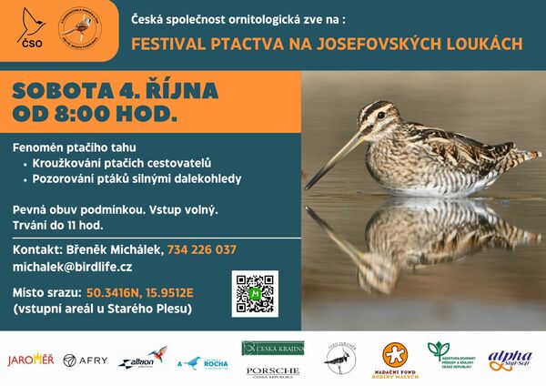 festival ptactva