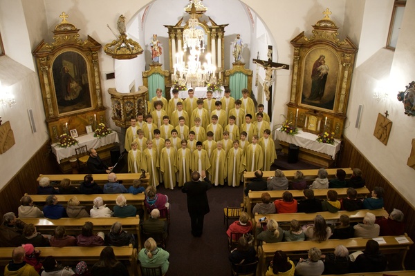 Boni pueri