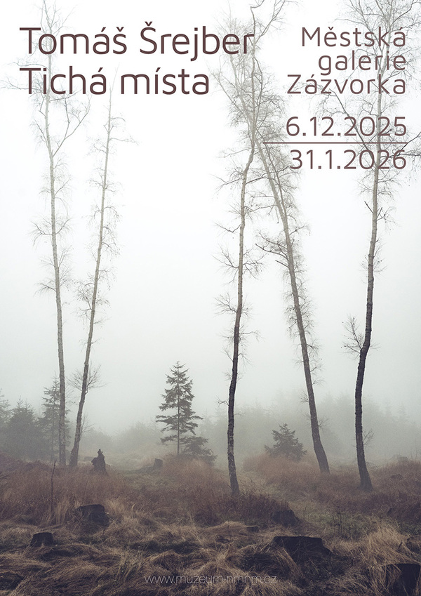 Tomáš Šrejber - Galerie Zázvorka