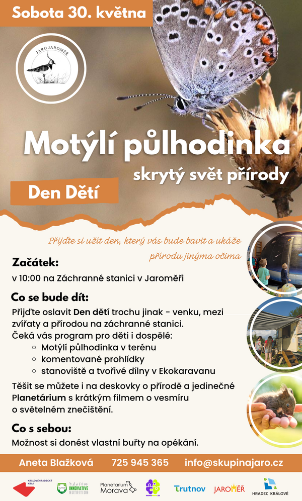 Motýlci
