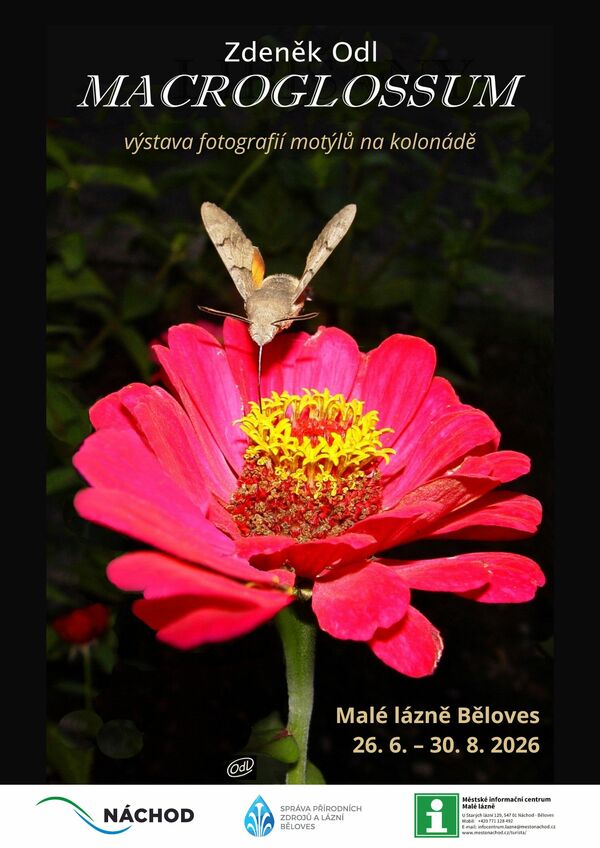 Zdeněk Odl: Macroglossum